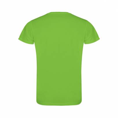 Camimera 135, TM Roly