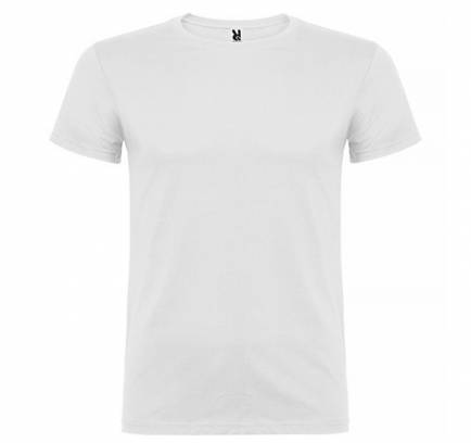 Beagle JN 155, TM Roly