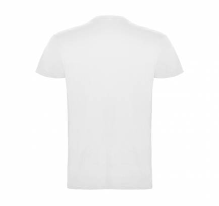 Beagle JN 155, TM Roly