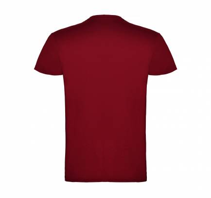 Beagle JN 155, TM Roly