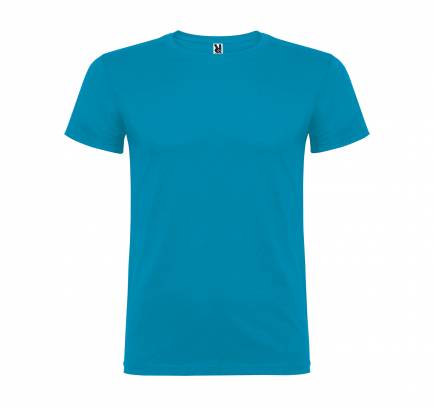 Beagle JN 155, TM Roly