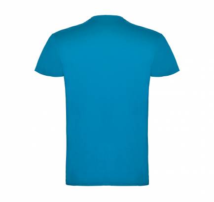 Beagle JN 155, TM Roly