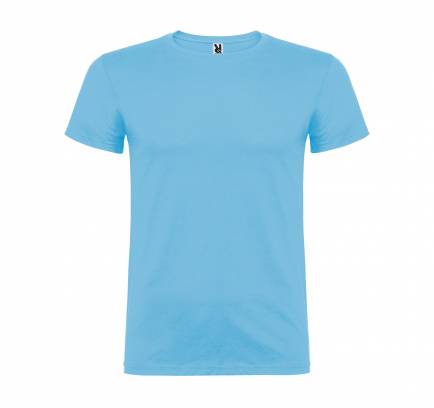 Beagle JN 155, TM Roly