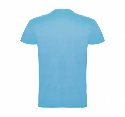 Beagle JN 155, TM Roly