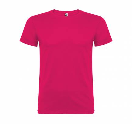 Beagle JN 155, TM Roly