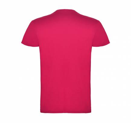 Beagle JN 155, TM Roly