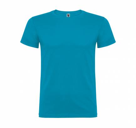 Beagle JN 155, TM Roly