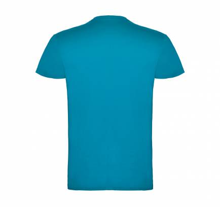 Beagle JN 155, TM Roly