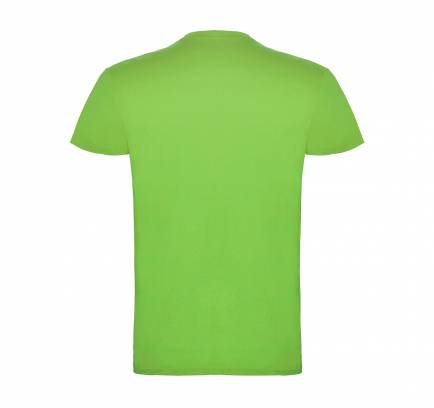 Beagle JN 155, TM Roly