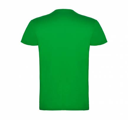 Beagle JN 155, TM Roly