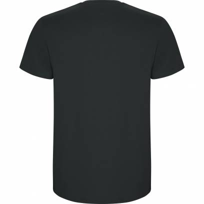 Футболка Stafford 401