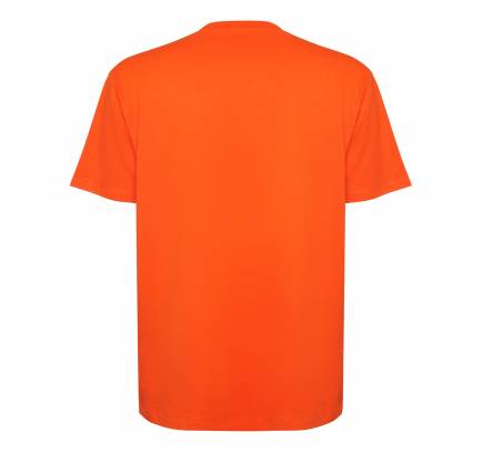 Футболка оверсайз Bull 272