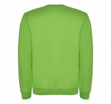 Реглан Clasica 280